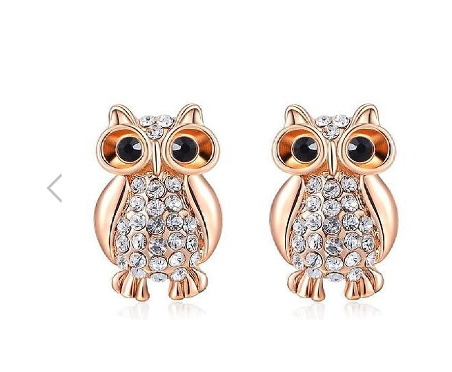 Fashion earrings / owl earrings  / stud earrings