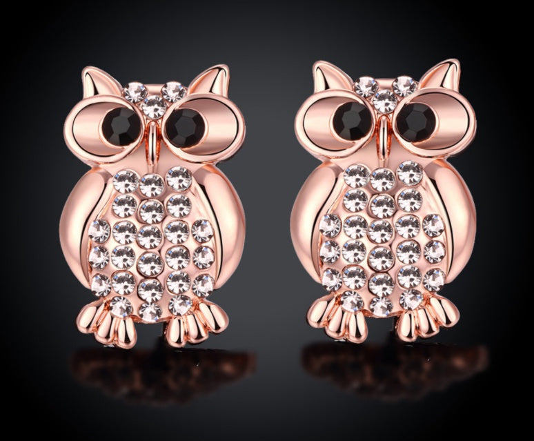 Fashion earrings / owl earrings  / stud earrings